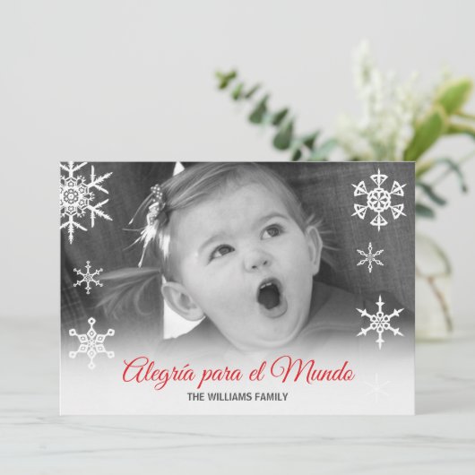 スペイン人のAlegríaパラグラフel Mundoの赤い家族写真 シーズンカード (スタンド正面)