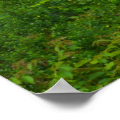 スペイン実在カンタブリア ポスター (角)