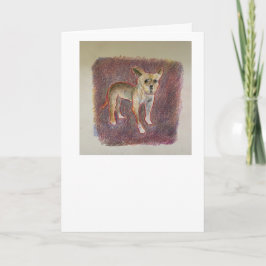 スペイン語チワワの誕生日カード カード