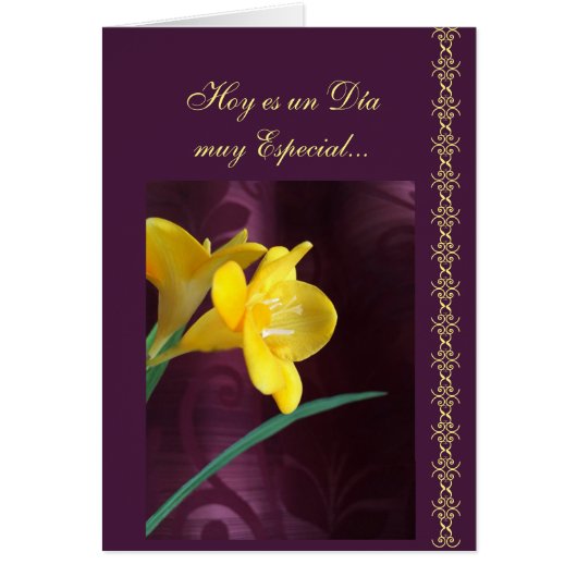 スペイン語: 特別な日 (正面)