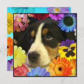 スペイン語: Invitación de cumpleanos//Birthday 招待状 (正面/裏面)