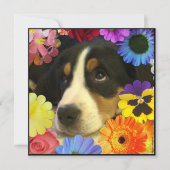 スペイン語: Invitación de cumpleanos//Birthday 招待状 (正面)