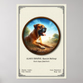 スペイン闘牛犬(Alano Español)動物学シリーズ ポスター (正面)