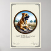スペイン闘牛犬（Alano Español）動物学シリーズ ポスター (正面)