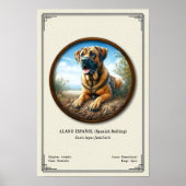スペイン闘牛犬（Alano Español）動物学シリーズ ポスター (正面)