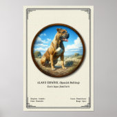 スペイン闘牛犬(Alano Español)動物学シリーズ ポスター (正面)