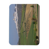 スペイン,アンダルシア,オルベラ マグネット (縦)