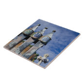 スペイン、カタロニア、バルセロナ。カーサ·バトロ(1906)。2 タイル (側面)