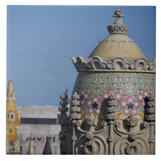 スペイン、カタロニア、バルセロナ。バルセロナ屋根の上 タイル (正面)