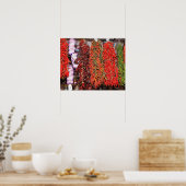 スペイン、カタロニア、バルセロナ、ラボケリア市場 ポスター (キッチン)