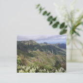 スペイン,カナリア諸島,テネリフェ ポストカード (スタンド正面)