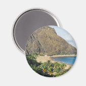 スペイン，テネリフェビーチ冷凍機磁石 マグネット (正面/裏面)