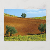 スペインCのアンダルシア州モンティリア近郊のブドウ畑 ポストカード (正面)