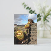 スペインLanzarote 04 cactus garden ポストカード (スタンド正面)