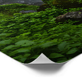 スペクトル秋 ポスター (角)