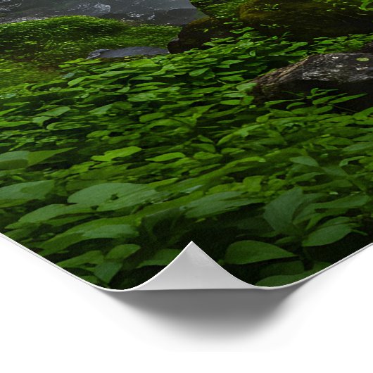 スペクトル秋 ポスター (角)