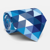 スペクトル ネクタイ (ロール)