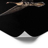 スペクレベリーグースシャツホワイトフロントガチョウB ポスター (角)