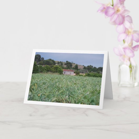 スペスペインのイン、バレンシア、アーティチョークフィールド カード (蘭)