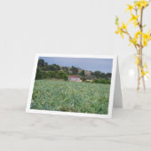 スペスペインのイン、バレンシア、アーティチョークフィールド カード (黄色い花)