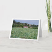 スペスペインのイン、バレンシア、アーティチョークフィールド カード (正面)