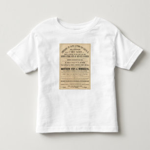 スペリオル湖アイオワおよびミネソタ広告 トドラーTシャツ