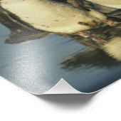 スペンスカス・マゼランのペンギン フォトプリント            (角)