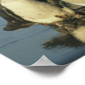 スペンスカス・マゼランのペンギン ポスター (角)