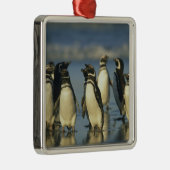 スペンスカス・マゼランのペンギン メタルオーナメント (右)