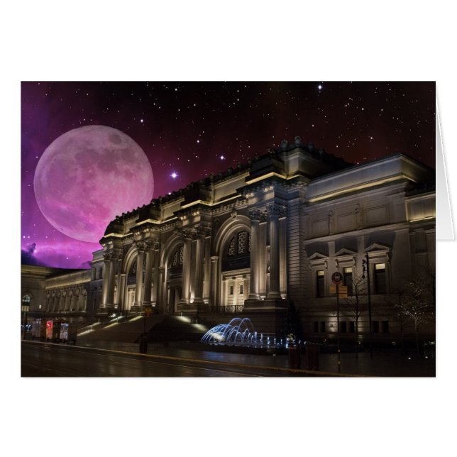 スペーシーメトロポリタン博物館 (正面横)