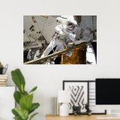 スペースウォーク(STS-133) ポスター (ホームオフィス)