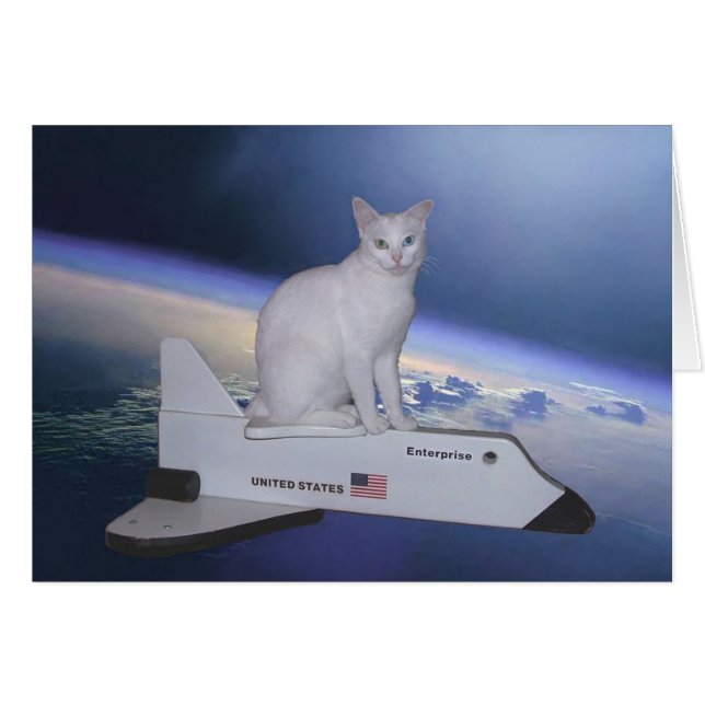 スペースシャトルの宇宙飛行士猫(精神) (正面横)