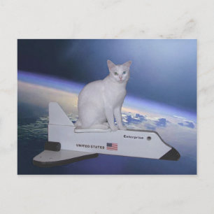 スペースシャトル「宇宙飛行士の猫(スピリット)」宇宙 ポストカード