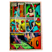 スペースホーク、マーティン人、そしてダムゼル・コミック・ページ ミディアムペーパーバッグ (正面)