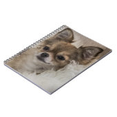 スポイルトチワリラックスワズ ノートブック (左側)