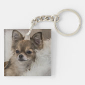 スポイルトリラックスチワワ キーホルダー (裏面)