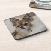 スポイルトリラックスチワワ コースター (左側)