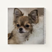 スポイルトリラックスチワワ ノートブック (裏面)