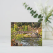 スポケーン川 ポストカード (スタンド正面)