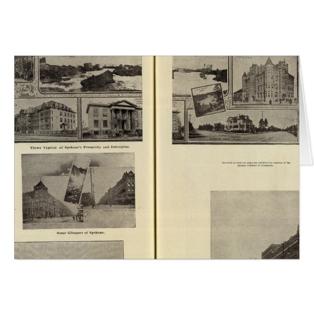 スポケーン (正面横)