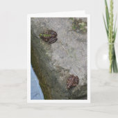 スポッストライプのトとカエルのカード カード (正面)