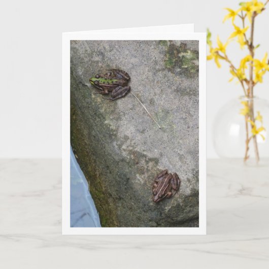 スポッストライプのトとカエルのカード カード (黄色い花)