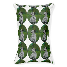 スポッティドッグアートダルマチア