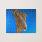 スポッテッドイーグル線水中ガラパゴス楽園 ジグソーパズル (横)