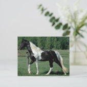 スポッテッドウォーカー ポストカード (スタンド正面)