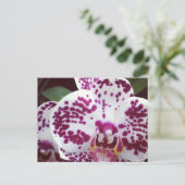 スポッテッドオーキッドポストカード ポストカード (スタンド正面)