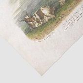 スポッテッドカウカーフエフエメラデクページヴィンテージファーム 薄葉紙 (詳細)