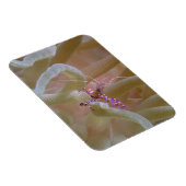 スポッテッドクリーナーエビ磁石 マグネット (右側)