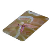 スポッテッドクリーナーエビ磁石 マグネット (左側)