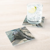 スポッテッドシールフォトスクエアガラスコースター ガラスコースター (アングル)